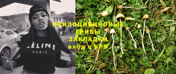 стаф Беломорск