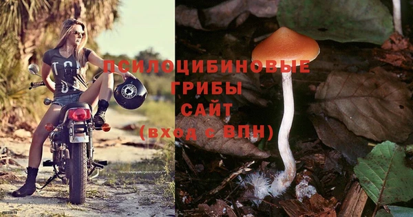 jwh Богородицк